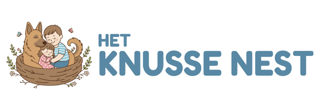 Secundair Logo Zonder Achtergrond